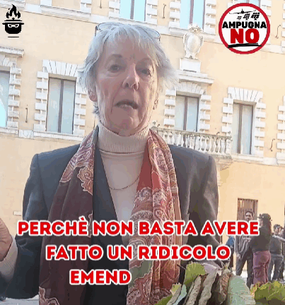 Mariarosa Mariani (Comitato AmpugnaNO): “Foglie di fico per tutti”