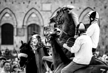 “Foto mosse”: i tre scatti più votati dai visitatori