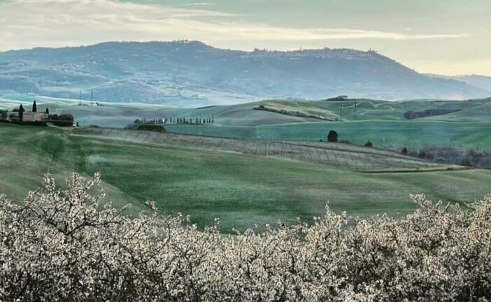 Novembre a Montalcino: il mese del Tartufo Bianco e del Brunello