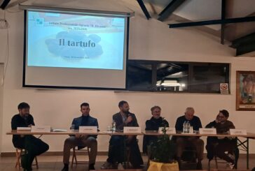 Monteroni d’Arbia, un convegno per parlare del futuro del tartufo bianco