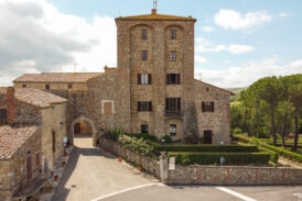 Il Delfino di Lucciola Bella. Una storia iniziata 4 milioni di anni fa