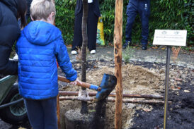 Festa dell’albero: Aous e Arma dei Carabinieri per l’ecosostenibilità e il rispetto per l’ambiente