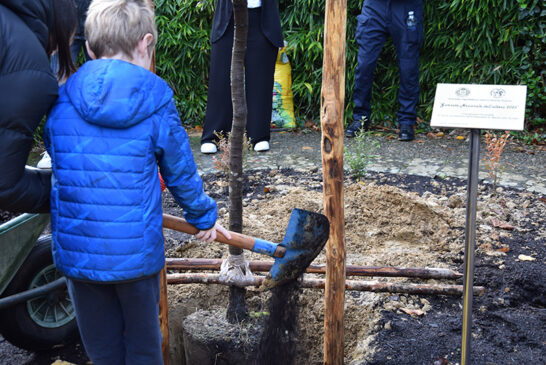 Festa dell’albero: Aous e Arma dei Carabinieri per l’ecosostenibilità e il rispetto per l’ambiente