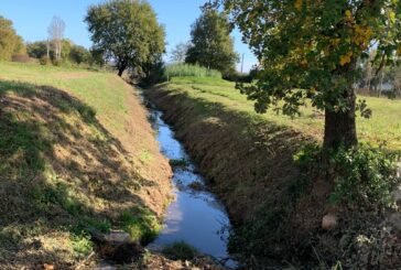 Lavori di manutenzione ordinaria sul Fosso del Mulinello