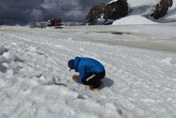 NBFC e Unisi a caccia delle “pulci dei ghiacciai” con le Guide alpine