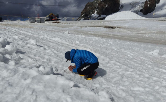 NBFC e Unisi a caccia delle “pulci dei ghiacciai” con le Guide alpine