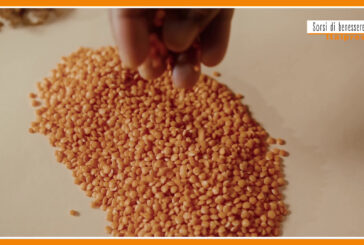 Sorsi di Benessere – Una ricetta gustosa a base di lenticchie e castagne