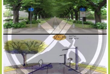 Il Selvaggio: “Ai pini marittimi sia data una valida alternativa”