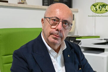 Oli DOP e IGP: nel Rapporto Ismea-Qualivita 2025 una crescita significativa del comparto