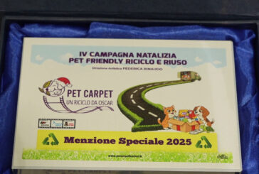 Al via la campagna solidale “Pet Carpet: un riciclo da Oscar”