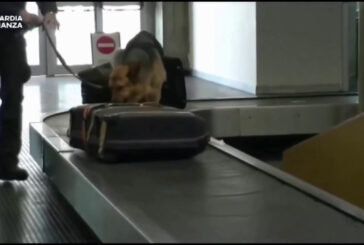 Finanziamenti ad Hamas per 7 mln attraverso associazioni, nove arresti