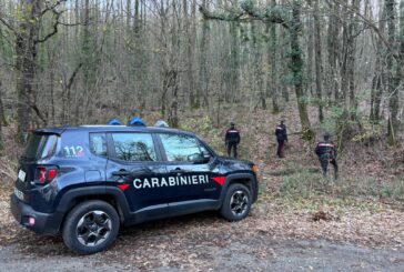 Monteriggioni: due denunce per spaccio di droga nel bosco