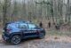 Monteriggioni: due denunce per spaccio di droga nel bosco