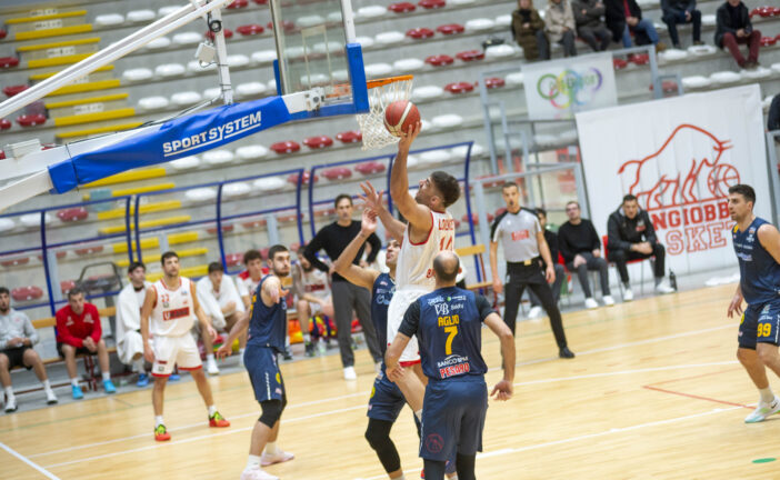 Tornano in campo i Bulls: avversaria di turno la Pielle