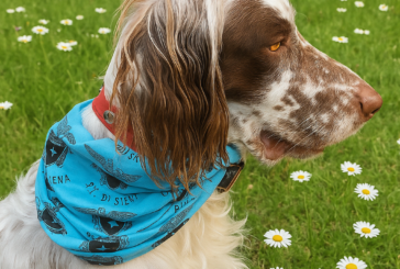 Cai Siena: in montagna con il proprio cane