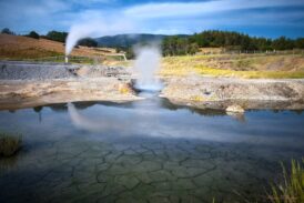 Al via “FMS School”, il programma di residenza dedicato a giovani artisti e curatori