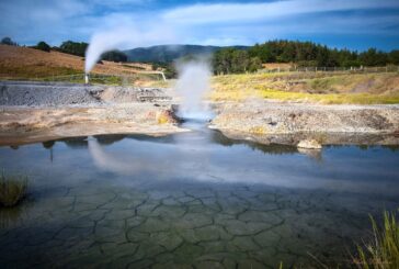 Al  via “FMS School”, il programma di residenza dedicato a giovani artisti e curatori
