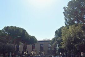 Grig: “Perché tagliare gli alberi della Piazza d’Armi a Siena?”