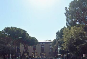 Grig: “I Carabinieri Forestali hanno avviato gli accertamenti sul taglio degli alberi in Piazza d’Armi”