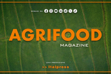 Agrifood Magazine – 24/12/2025