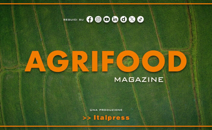 Agrifood Magazine – 24/12/2025