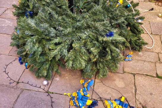 Spogliato e danneggiato l’albero di Natale della Contrada della Tartuca