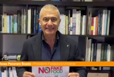 Pecoraro Scanio "Ue cambi rotta, smantellare Pac è tradire lo spirito europeo"