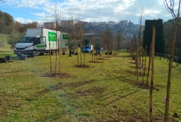Parco Unità d’Italia: piantati sessanta nuovi alberi