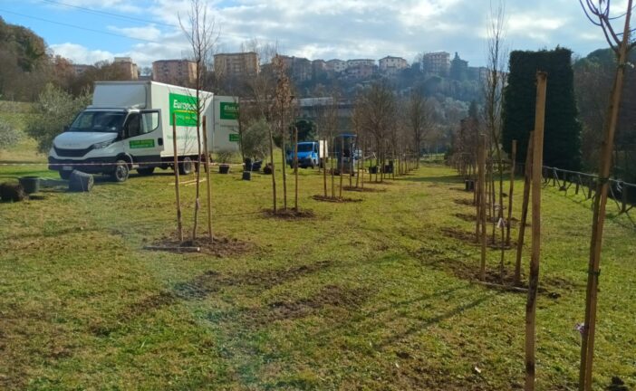 Parco Unità d’Italia: piantati sessanta nuovi alberi