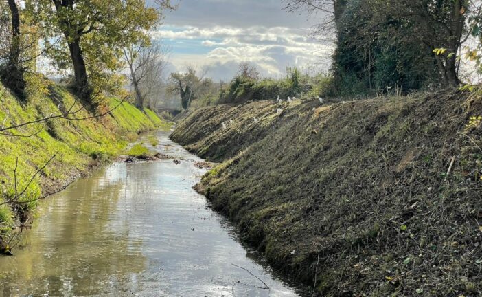 Manutenzione ordinaria sul torrente Rosia a Sovicille