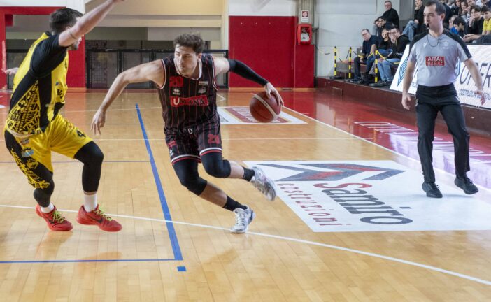 I Bulls iniziano l’anno contro Jesi nella prima di ritorno