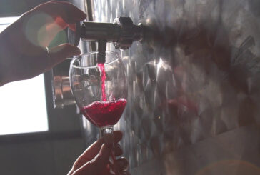 Vini dealcolati, via libera alla produzione in Italia