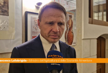 Lollobrigida "Con l'Uzbekistan rapporto consolidato e forte"