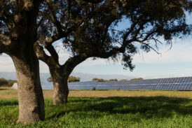 Estra-Starkraft: firmato un accordo per la fornitura di energia rinnovabile