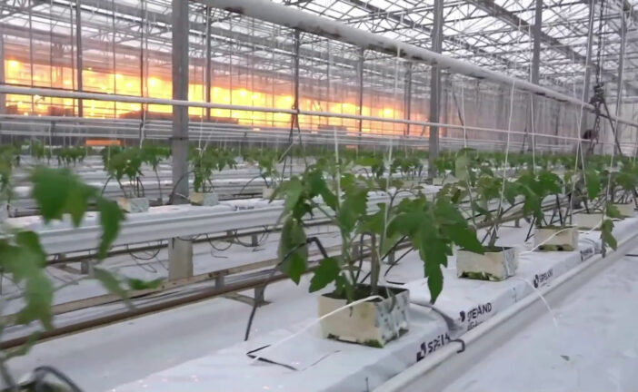 Sviluppo rurale, l'Italia ha speso il 99% dei fondi Ue