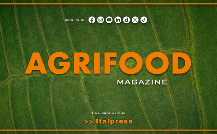 Agrifood Magazine – 31/12/2025