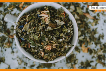 Sorsi di Benessere – Una tisana con betulla e tarassaco