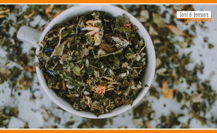 Sorsi di Benessere – Una tisana con betulla e tarassaco