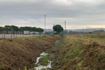 Manutenzione ordinaria sul Biena a Castelnuovo Berardenga