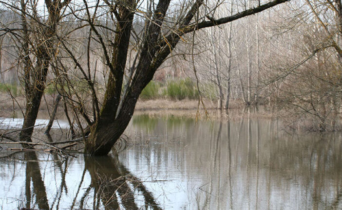 Lago di Calcione: approvato il regolamento comunale