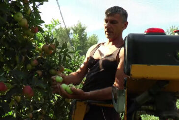 Ue, per l'agricoltura italiana 10 miliardi in più