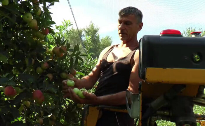 Ue, per l'agricoltura italiana 10 miliardi in più