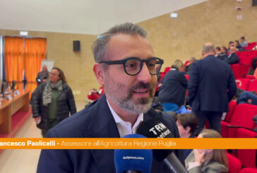 Puglia, Paolicelli "Quella del veterinario è una figura importantissima"