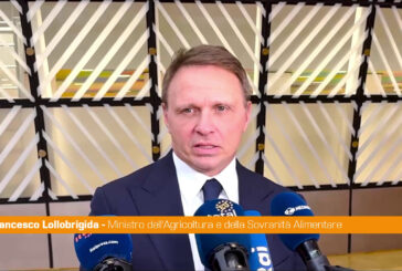 Mercosur, Lollobrigida "In Ue solo prodotti che rispettino i nostri standard"