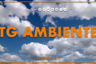 Tg Ambiente – 25/1/2026