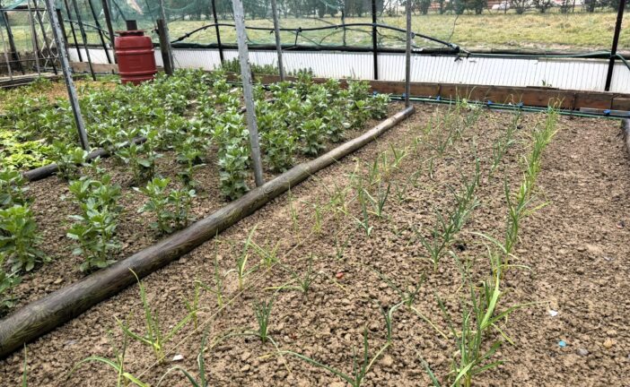 Orti urbani di Montepulciano Stazione, un progetto che si rinnova e si consolida