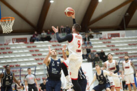 Bulls contro Loreto per guadagnare punti in classifica