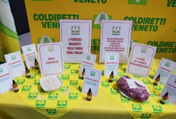 Codice Doganale: Coldiretti Siena chiama il territorio a difendere il cibo sano