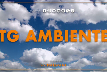 Tg Ambiente – 8/2/2026