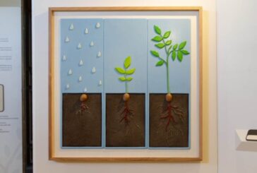 Storie sulle dita: alberi. A Palazzo Chigi mostra tattile e multisensoriale